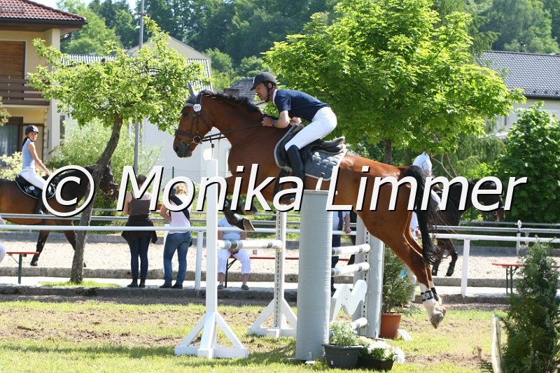 204M5344_Cover Boy_Stil_L.JPG